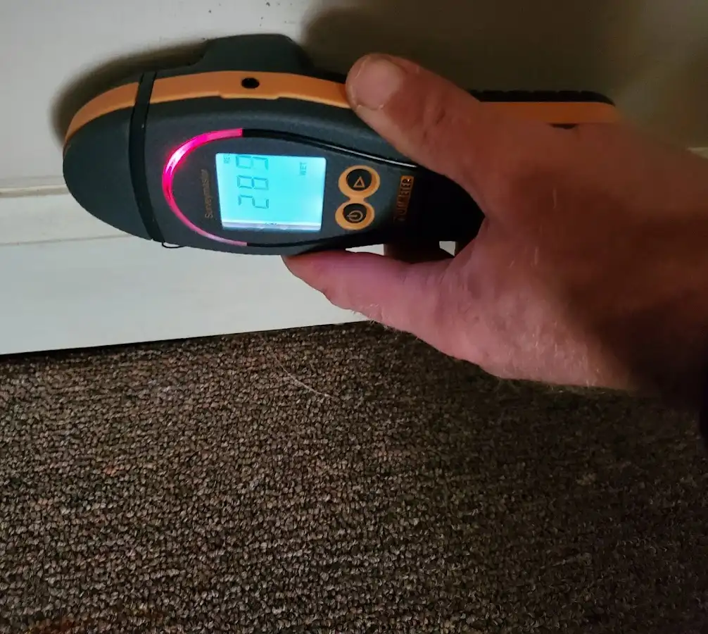 Moisture detection at baseboard during Sewage Cleanup & Sanitation in Highland Heights